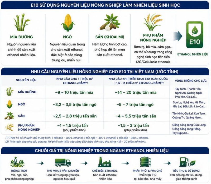 Khi ngành nhiên liệu sinh học phát triển, cùng một loại nông sản có thể phục vụ nhiều ngành khác nhau. Việc đa dạng hóa đầu ra giúp nâng cao giá trị chuỗi cung ứng nông nghiệp
