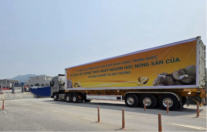 Mặt hàng sầu riêng được xuất khẩu thành công sang Trung Quốc, với đầy đủ thông tin truy xuất nguồn gốc. Ảnh: Hoàng Nghĩa.