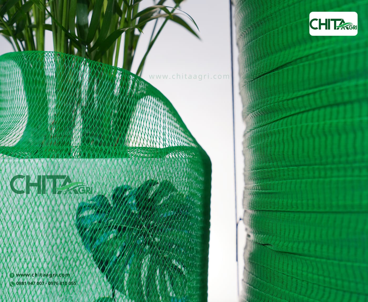 Nhựa Chí Thành BC – Đơn vị cung cấp lưới bọc chậu cây ổn định, giá sỉ cho nhà vườn