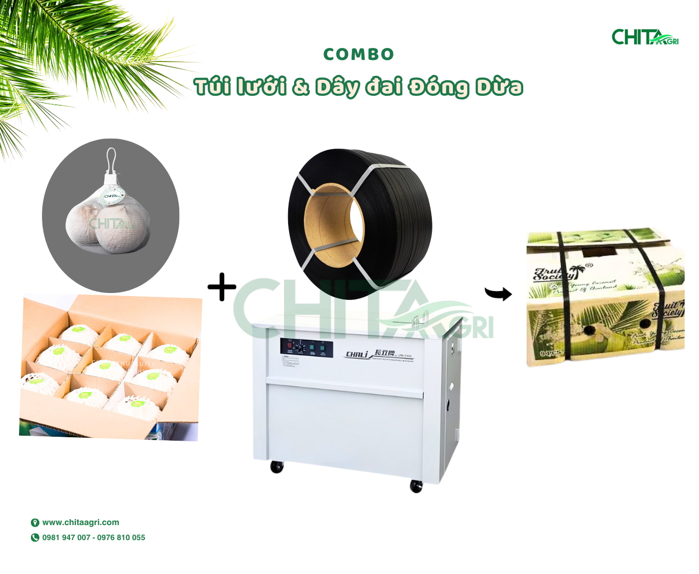 Túi Lưới Đựng Dừa & Dây Đai PP Chita Agri – Bộ Đôi Bao Bì Đồng Bộ Cho Đóng Gói Dừa Xuất Khẩu