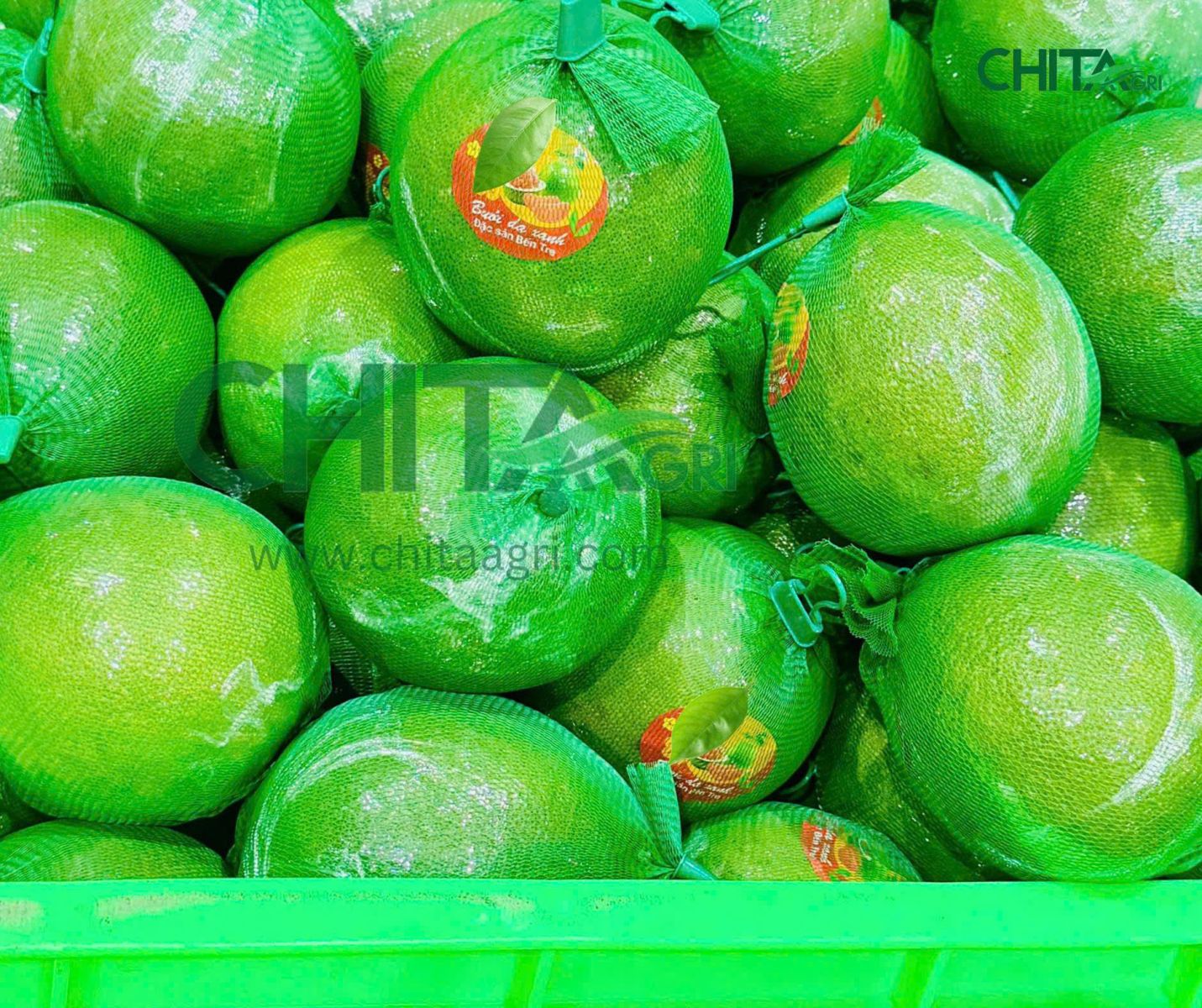 Bưởi được đóng bằng Túi lưới nhựa Chita Agri