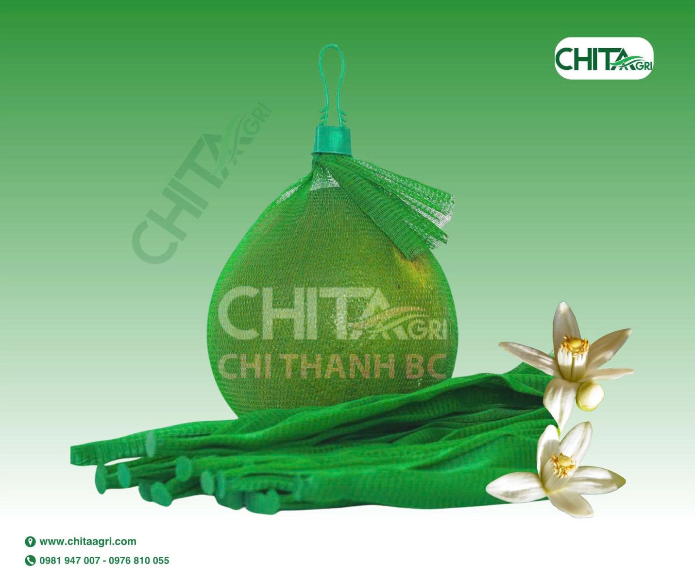 Túi lưới đựng bưởi Chita Agri của Nhựa Chí Thành BC
