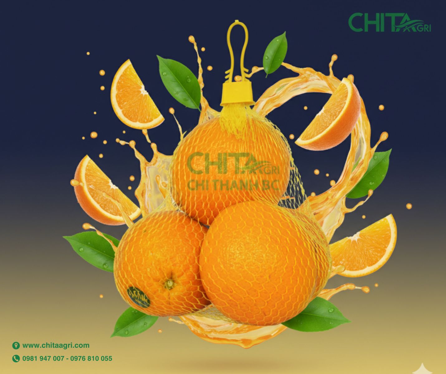 Túi lưới đóng cam Chita Agri chất lượng tại Việt Nam