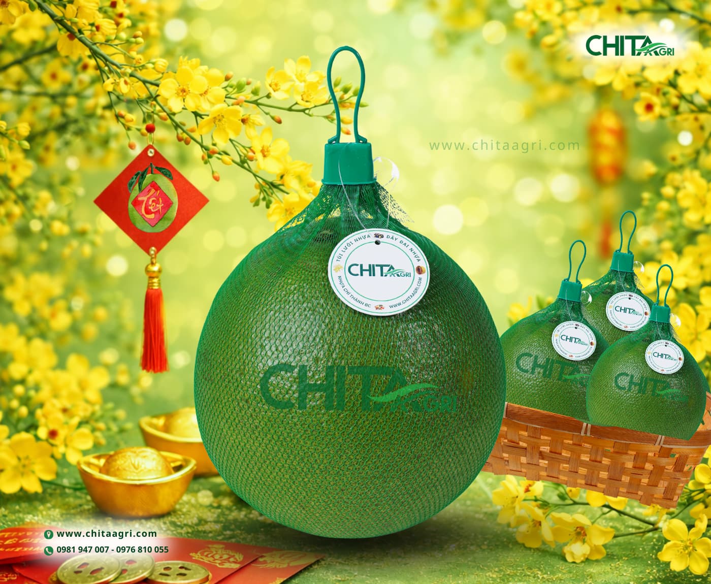 Túi lưới đựng bưởi Chita Agri giúp trưng bày đẹp, đóng gói sẵn và bán nhanh dịp Tết. Phù hợp cho nhà vườn, đại lý và cửa hàng trái cây.