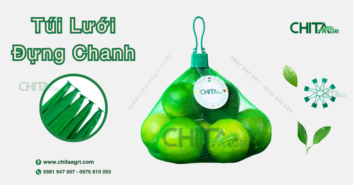 Túi lưới đựng chanh Chita Agri giúp bảo quản tươi lâu, nâng tầm trưng bày siêu thị và xuất khẩu. Sản phẩm chất lượng cao, uy tín từ Nhựa Chí Thành BC.