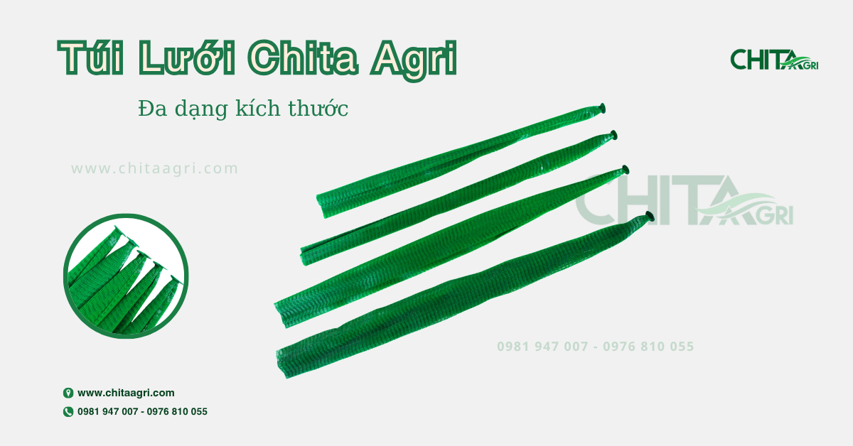 Túi lưới đựng trái cây Chita Agri giúp bảo quản tươi lâu, nâng tầm trưng bày siêu thị và xuất khẩu. Sản phẩm chất lượng cao, uy tín từ Nhựa Chí Thành BC.