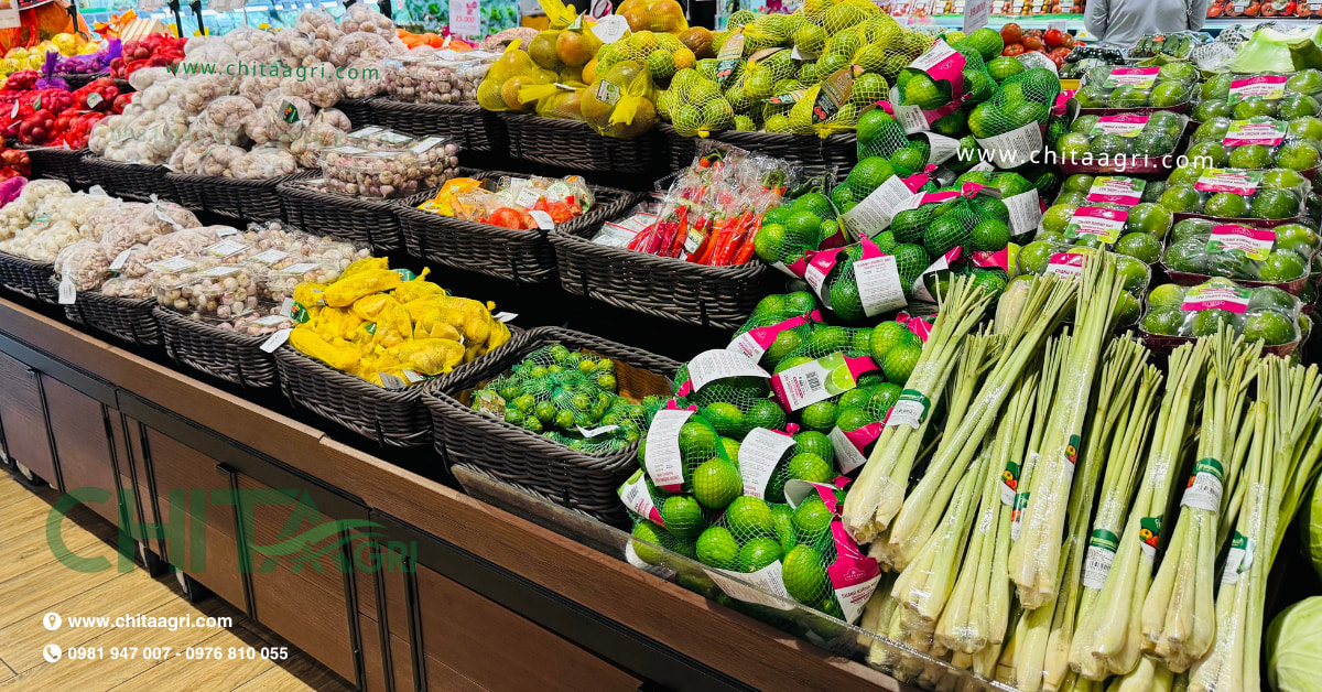 Túi lưới nhựa L200 Chita Agri bền – thoáng – chịu lực, thích hợp đóng gói nông sản & thực phẩm