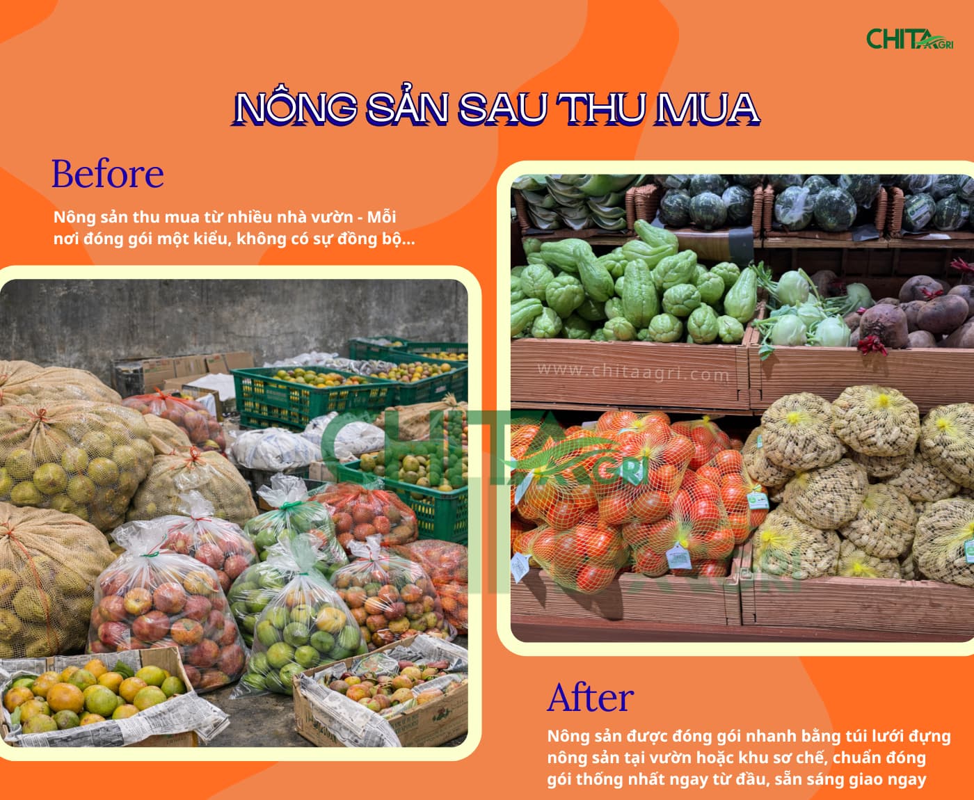 Túi lưới đựng nông sản hỗ trợ Hợp tác xã chuẩn hóa thu mua, giảm hao hụt và mở rộng thị trường tiêu thụ bền vững.