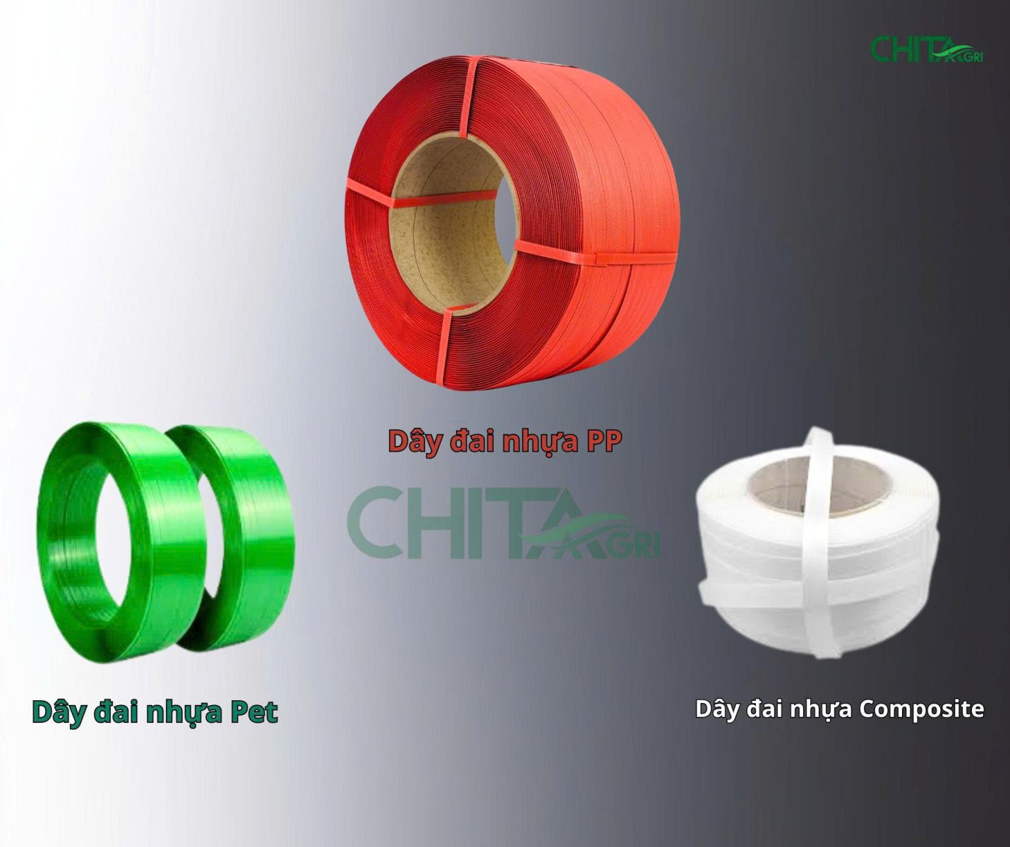 Các loại dây đai nhựa trên thị trường
